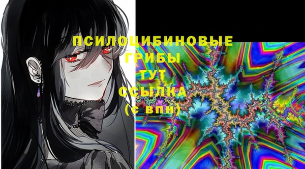 МДПВ Армянск