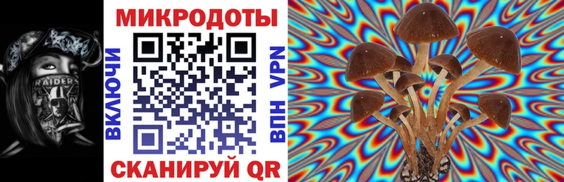 Псилоцибиновые грибы Psilocybine cubensis  Петухово 